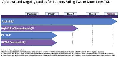 Therapeutic options for chronic myeloid leukemia following the failure of second-generation tyrosine kinase inhibitor therapy